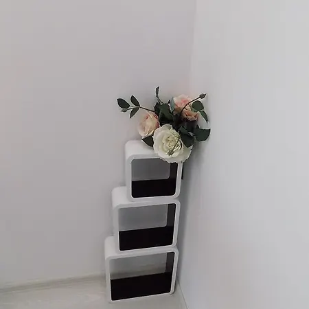 Apartmán Silvi *
